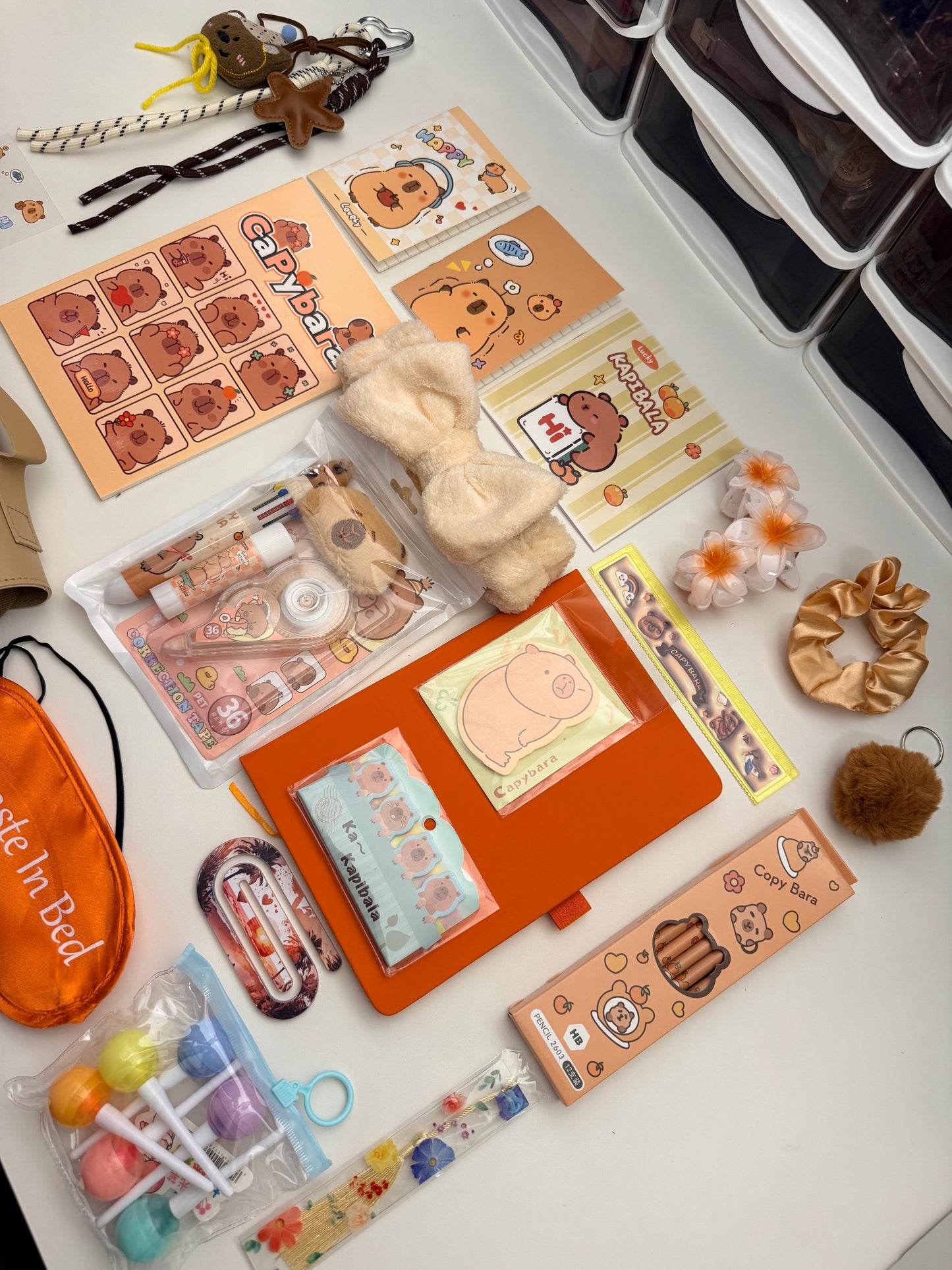 Capybara Collection🤎🧡