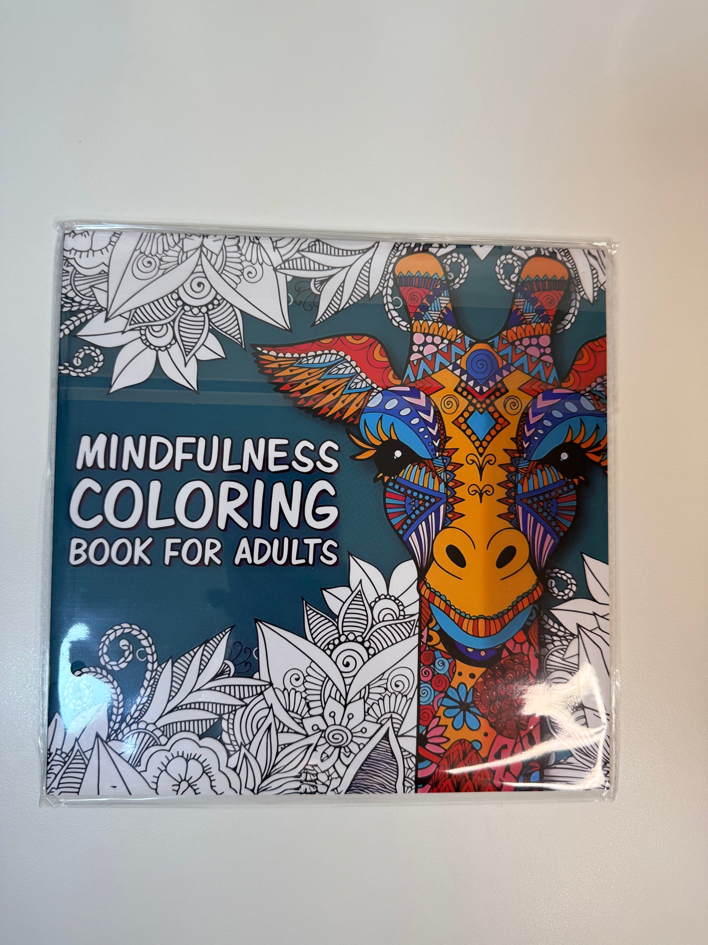 Coloring book